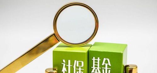 社保之重 從個(gè)體選擇到社會(huì)養(yǎng)老責(zé)任的思考